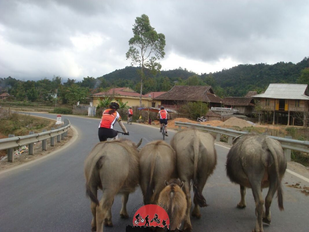 25 Days Thailand - Laos Biking To Vietnam