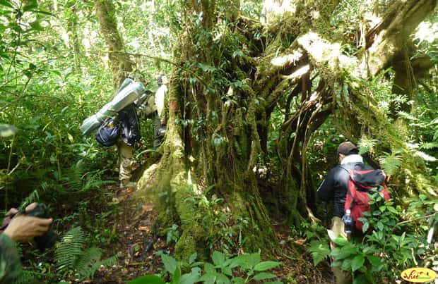 Luangnamtha Trekking Tours - 5 Days