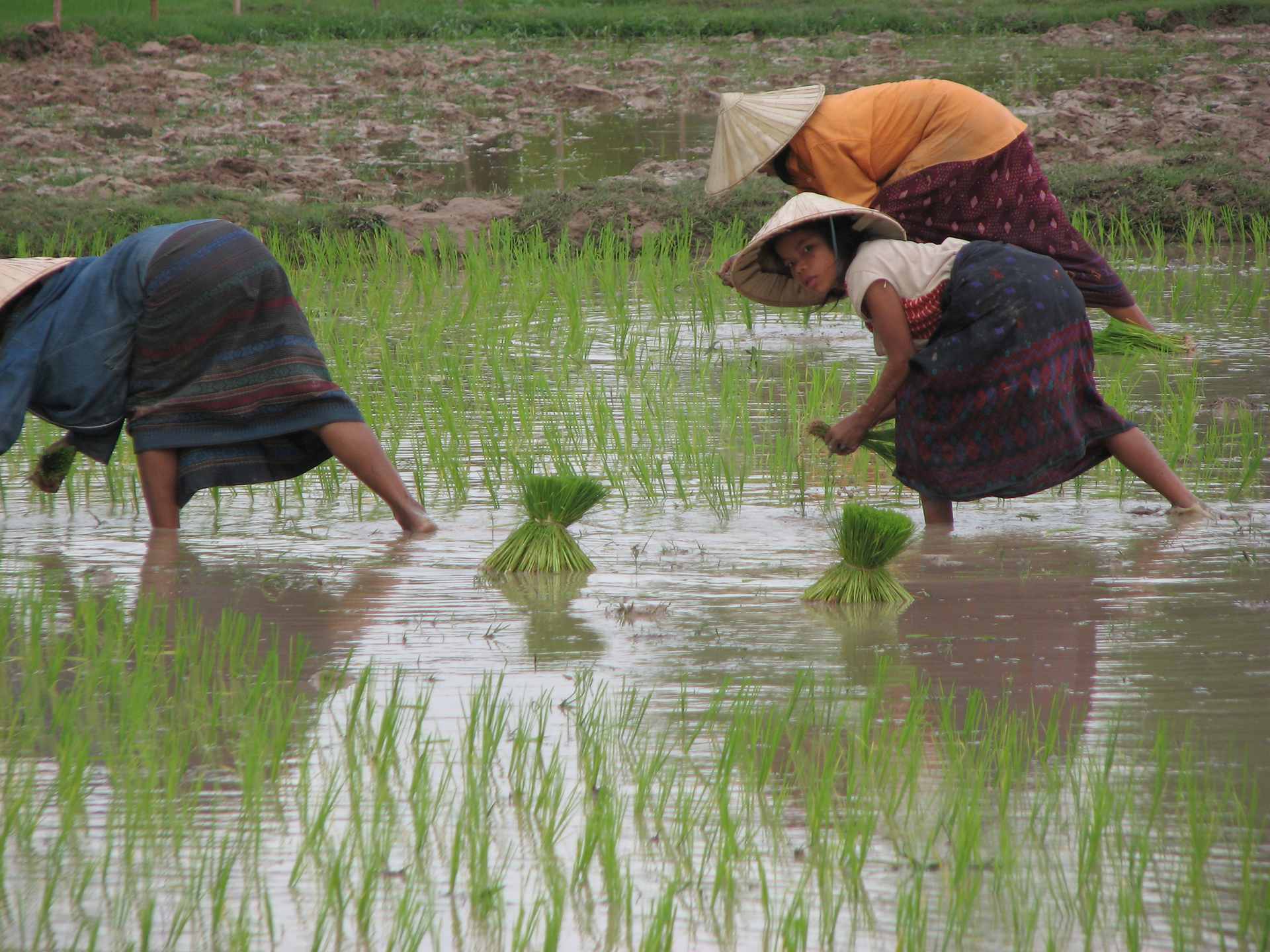 Luang Prabang Northern Ethnic Minorities Trek and Homestay - 2 Days