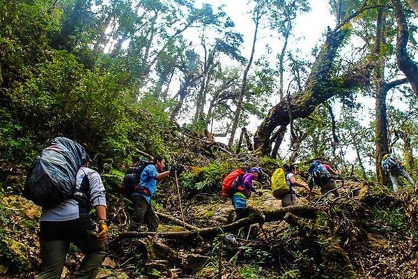 Luang Prabang Trekking To Hmong and Khmu Hilltribe Villages - 2 Days