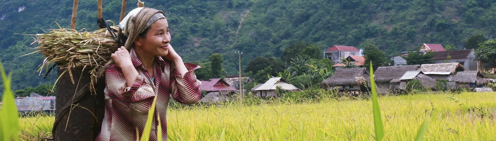 Ban Chomphet Experience Biking and Trekking Tour – 2 days