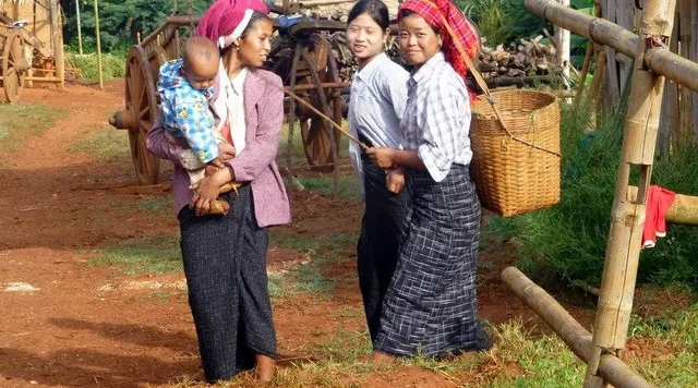 Northern Hilltribes and Jungles Trekking Experience - 12 Days