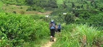 Kayaking and Trekking in Namha National Park - 2 Days 4