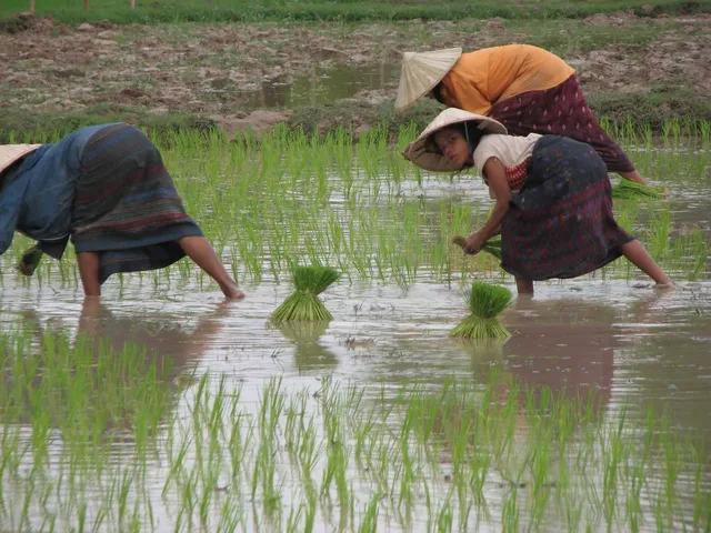 Luang Prabang Trekking To Remote Cultural Homestay - 3 Days 4