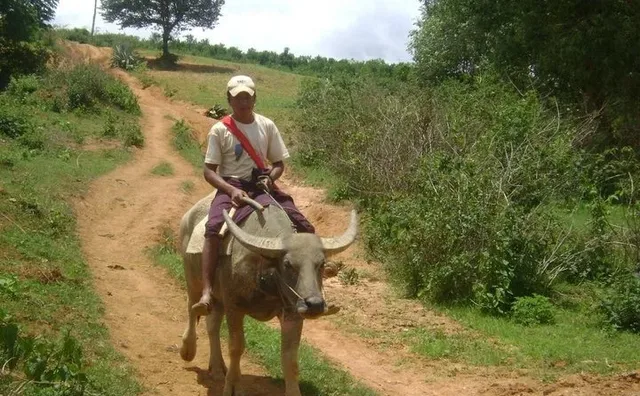 Northern Hilltribes and Jungles Trekking Experience - 12 Days 1