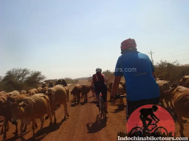 Pakse Cycling Holiday - 7 Days 2