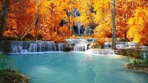 Tour from VientianeTo Luang Prabang and 4000 Islands - 8 Days 3