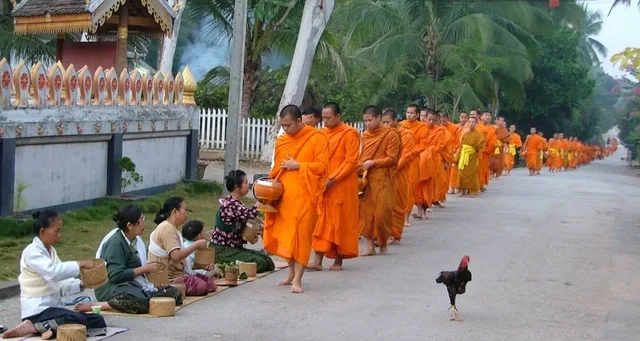 Tour from VientianeTo Luang Prabang and 4000 Islands - 8 Days 4