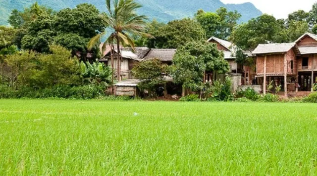 Trekking and Tribes in Northern Laos - 7 Days 4
